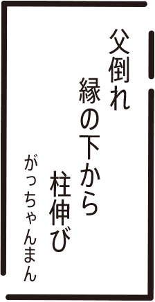 父倒れ 縁の下から 柱伸び がっちゃんまん